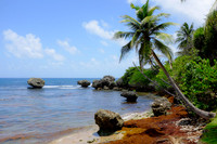 Barbados