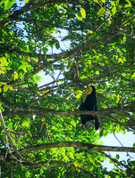 Guatemala-Belize [063702]