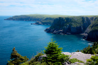 Newfoundland [IMG806790]