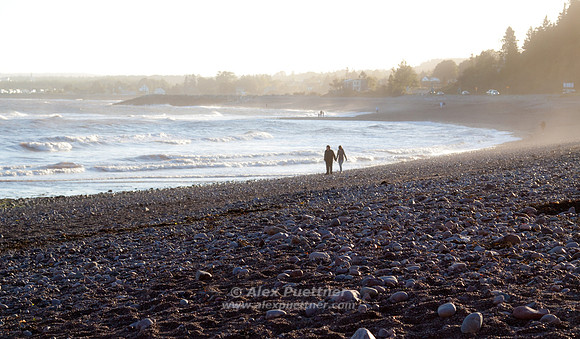 Beach Walkers