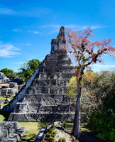 Guatemala-Belize [092623]