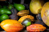Dominican Republic [706097]