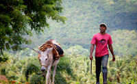 Dominican Republic [706077]