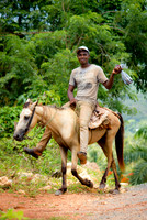 Dominican Republic [706076]