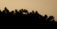 Dominican Republic [706011]