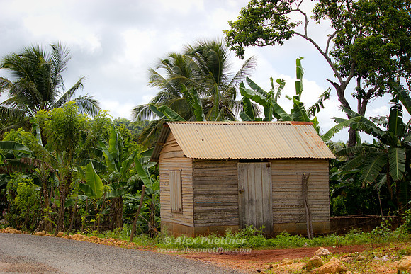 Dominican Republic [706084]
