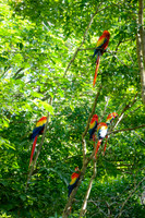 Honduras, El Salvador [IMG91001316]