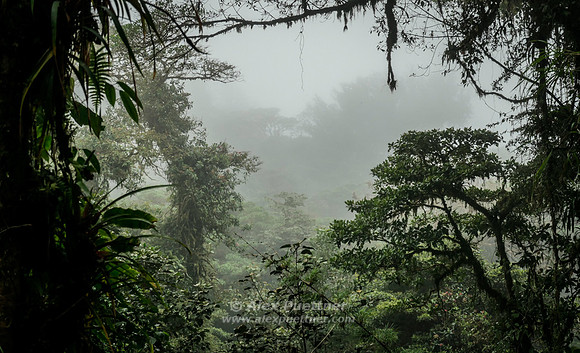 Costa Rica [IMG91012174]