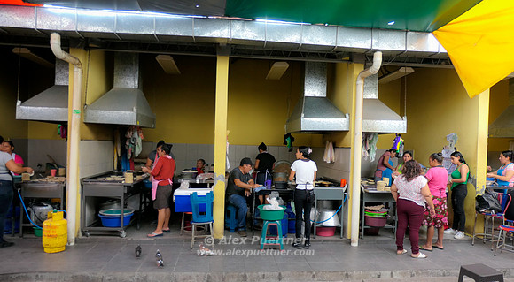 Honduras, El Salvador [IMG91011497]
