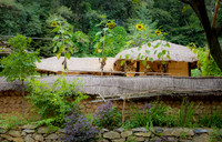 Korea [808395]