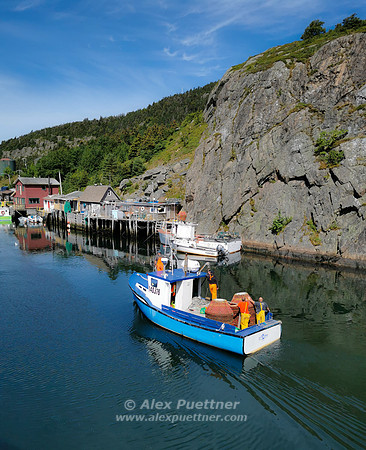 Newfoundland [IMG_20230829_124512]