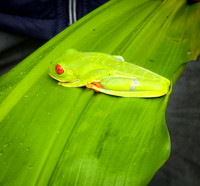 Costa Rica [20250107_151615]