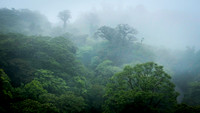 Costa Rica [801157]