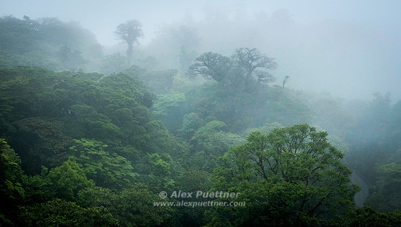 Costa Rica [801157]