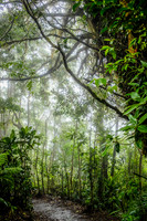 Costa Rica [801166]