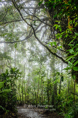 Costa Rica [801166]