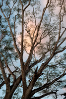 Costa Rica [801210]