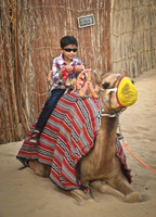 Camel and Boy