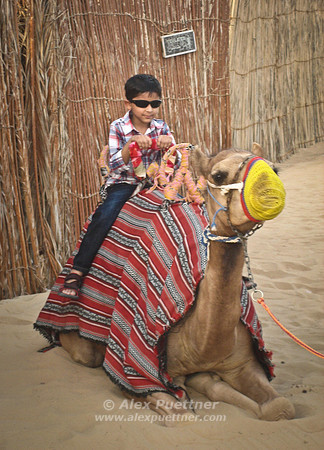 Camel and Boy