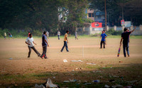 Cricket