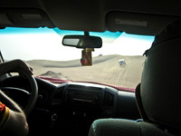 Desert Safari