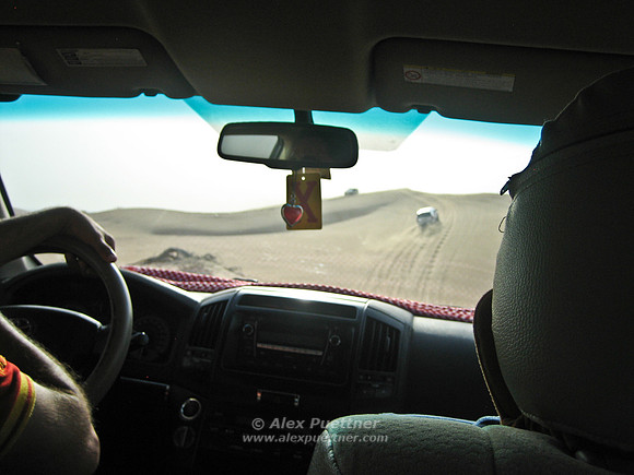 Desert Safari