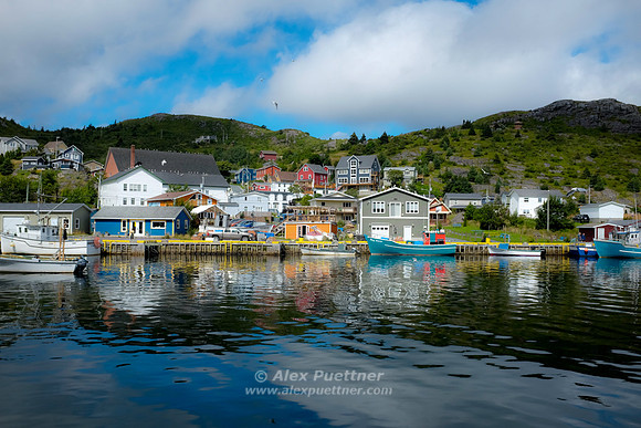 Newfoundland [IMG806927]
