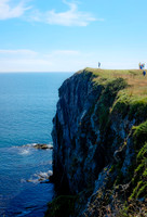 Newfoundland [IMG806675]