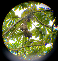 Costa Rica [20250107_170416]