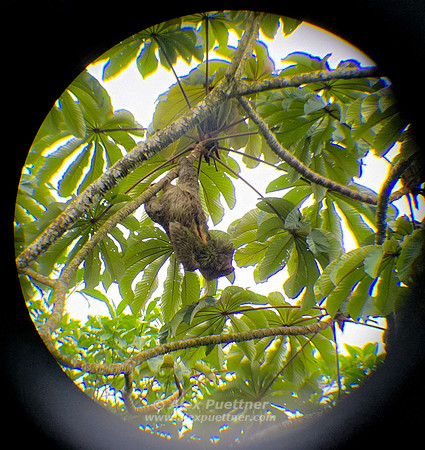 Costa Rica [20250107_170416]