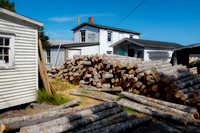 Newfoundland [IMG806713]