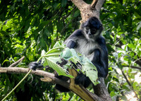 Guatemala [IMG91000714]