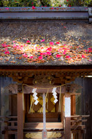 Shrine inside the Imperial Palace