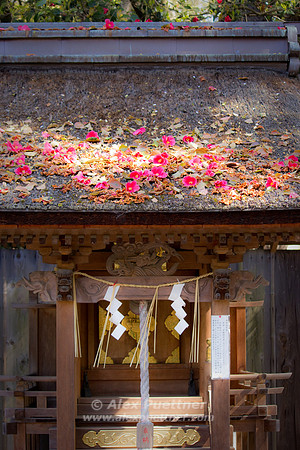 Shrine inside the Imperial Palace