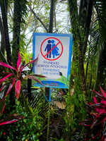 Costa Rica [20250108_151904]