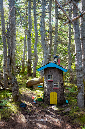 Newfoundland [IMG806788]