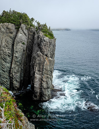 Newfoundland [IMG806655]