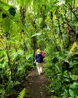 Costa Rica [20250106_102502]
