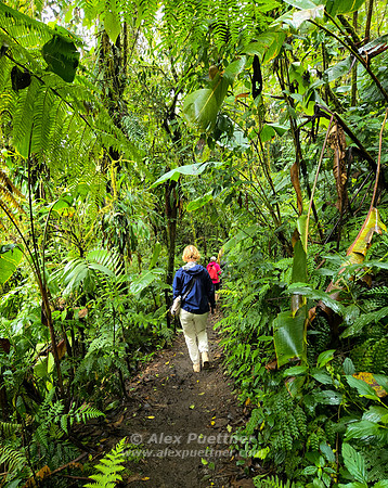 Costa Rica [20250106_102502]