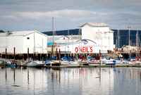 Digby Harbour