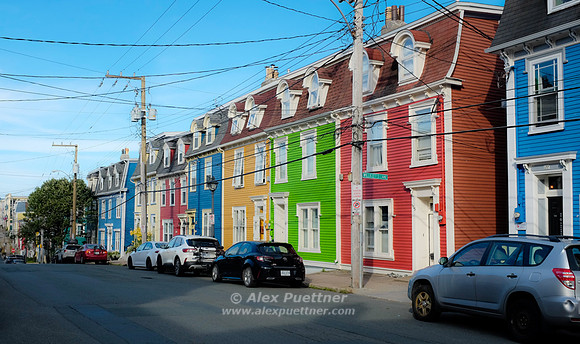 Newfoundland [IMG807174]