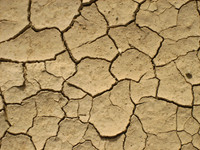 Dry Mud