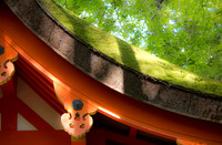 Kasuga Taisha Shrine