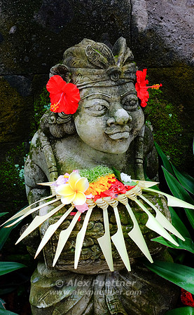 Bali [800453]