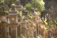 Stone Lanterns