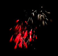 Fireworks [705837]