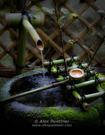 Japenese Garden