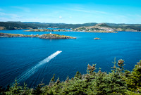Newfoundland [IMG806692]
